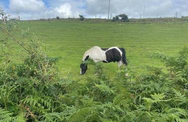 BumbleBee Lodge - Photo 6