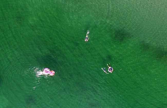 VVF Sud Aveyron, Brusque - Foto 57