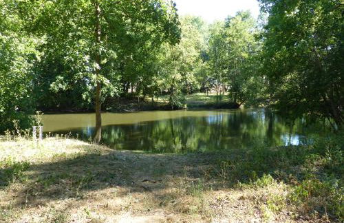 Ferienwohnung mit Brockenblick - Foto 34