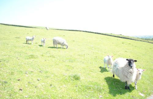 The Lodge at Brambles Farm - Foto 38