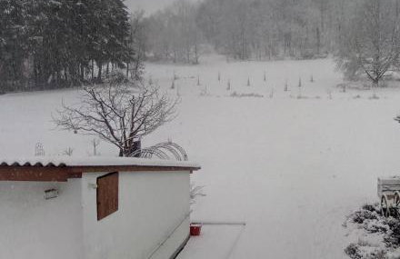 Ferienwohnung Zum Bienenstock - Photo 22