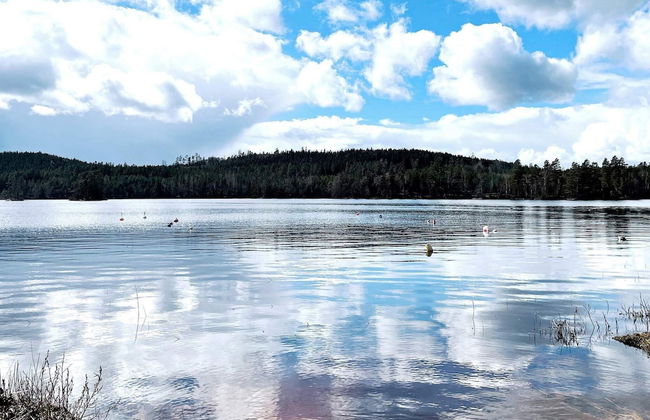 4 Star Holiday Home in Holsljunga - Foto 13