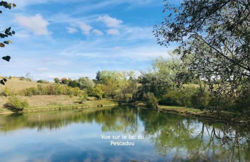 Gîte du Pescadou, 4 personnes, jacuzzi, wifi et netflix - Foto 29