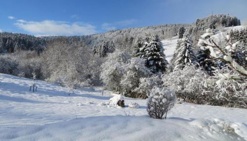 Ferienwohnungen Breternitz - Foto 4, Garden view