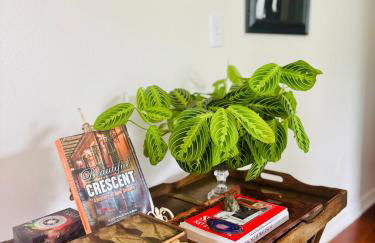 Charming Creole Cottage near French Quarter - Foto 36