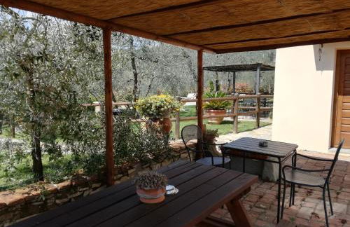 Agriturismo IL VIAIO - Foto 35