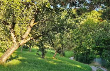 Apartment am Waldrand mit Einzelgarage, Nähe City, Messe & Flughafen - Foto 25