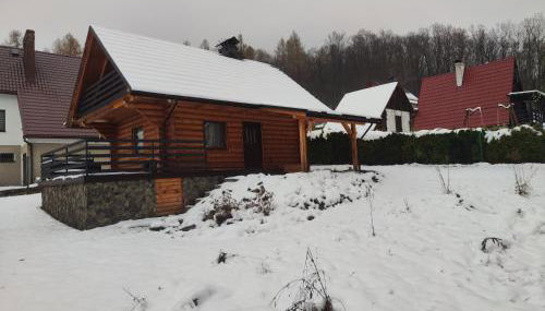 Kwietna łąka na szlaku - Foto 2