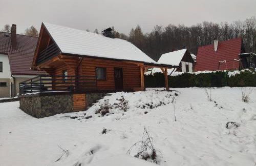 Kwietna łąka na szlaku - Foto 2