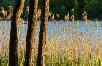 PRZYSTANEK DŁUŻEK - Photo 21