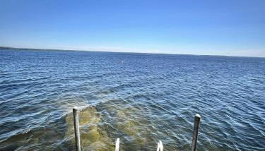 PLACYD PINES LIMIT 8 cottage - Foto 4