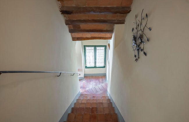 Agriturismo Bio Fattoria Bacio - Photo 17