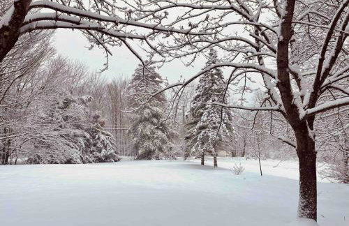 Romantic Chalet Hot Tub Near Hunter Mountain - Foto 50