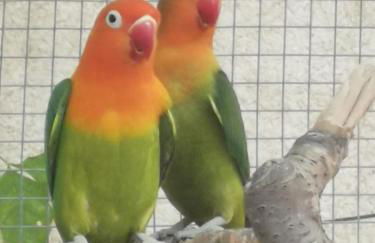 BELLE VILLA Piscine 120 m2, 8 pers, 3 belles chambres Près d'Aix-en-Provence - Foto 73