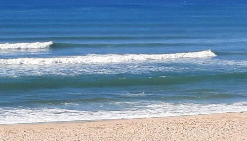 Appartement 1 chambre et 1 coin cabine, piscine, au bord du lac d 'Aureilhan,proche de Mimizan plage - Foto 2