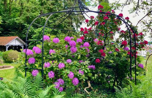 Haus Haselmaus - Zaunkönig - Foto 9