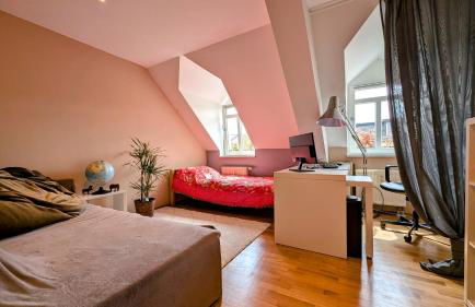 Großzügige Maisonette über dem Leipziger Zentrum - Foto 10