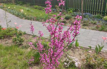 Zielona Przystań - Foto 40