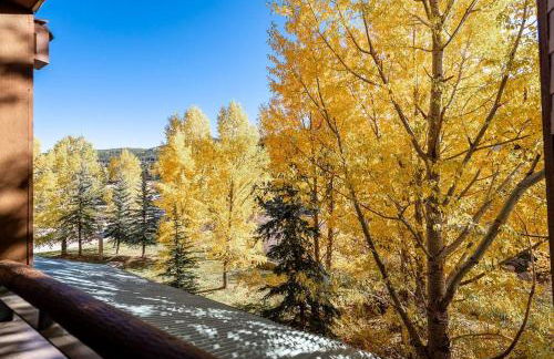 Ski-In/Ski-Out Zephyr 1 Bedroom Condo Winter Park - Foto 24