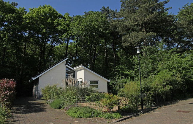 Elite Holiday Home in North Holland near Forest - Foto 13