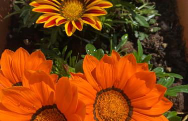 Casa Loredana - Foto 65