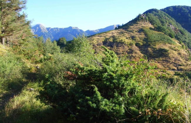 Idyllic Stay With Charm - Foto 30