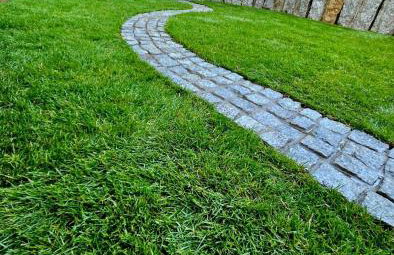 Alpakowy raj - Foto 80