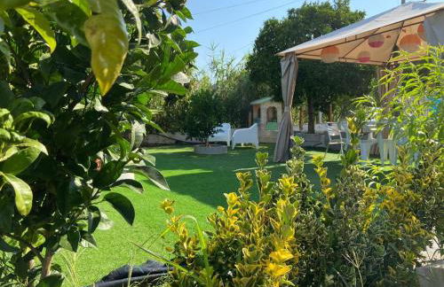 Holiday Home Visitar Bioucas II Traditionelles Einfamilienhaus by Interhome - Foto 18