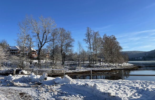 Schöne Aussicht (App 1406 / EX-Kurhotel) - Foto 45