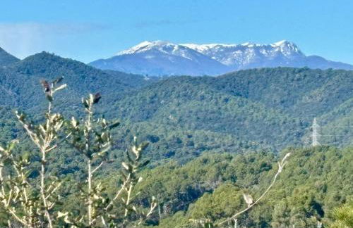 House with ocean and mountain views - Foto 44