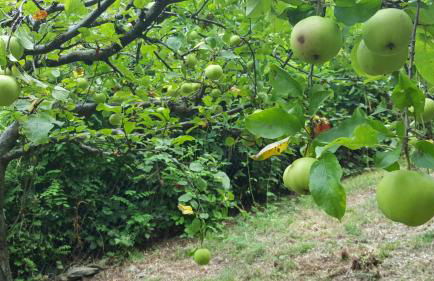 Casa Ronit - Foto 25