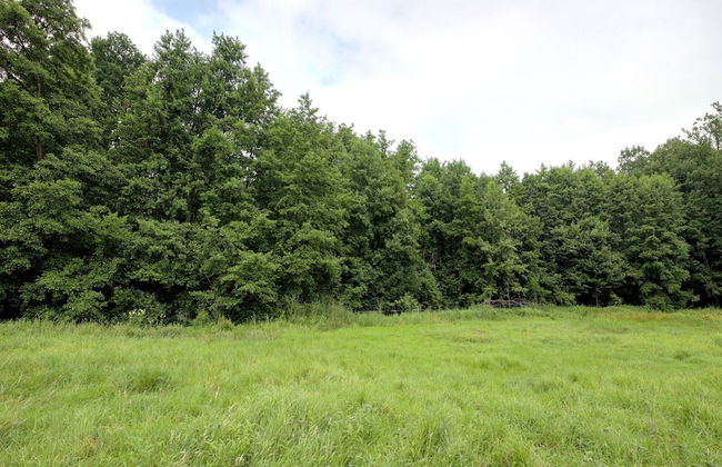 Charming Holiday Home in Raizeux Near Forest - Foto 28