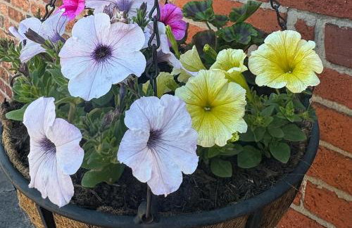 Christmas Cottage - Foto 13