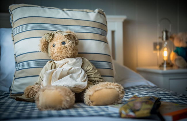 St. Tinney Farm - Photo 5