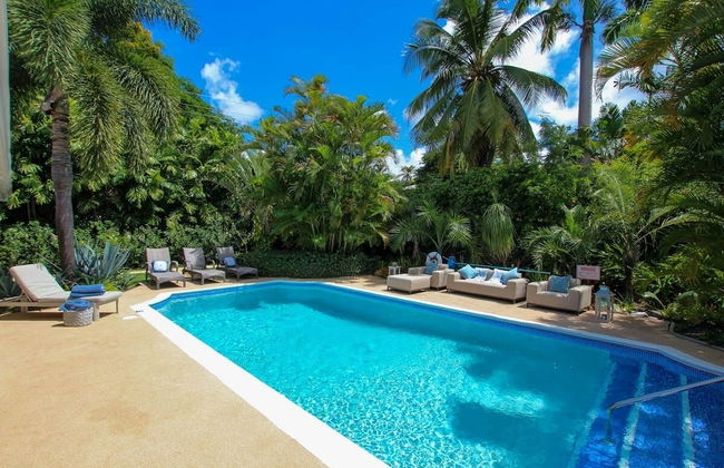 Palm Grove by Bluescape - Foto 22