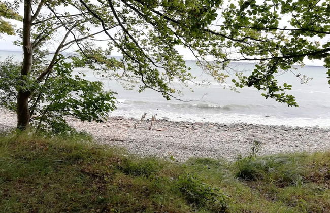 6 Person Holiday Home in Hornbaek - Photo 38