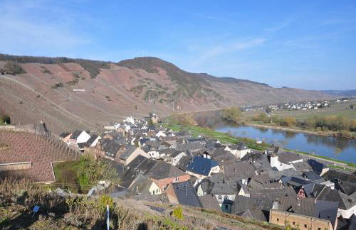 Weingut Rebenhof - Foto 9