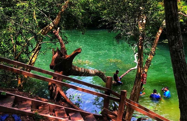 Tagatiyá Creek Day Trip - Foto 7