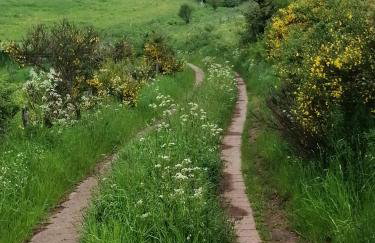 Ferienhaus ROSENHOF Vulkaneifel - Foto 32