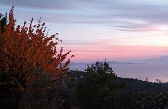 Panorama Studio Afetes - Photo 57