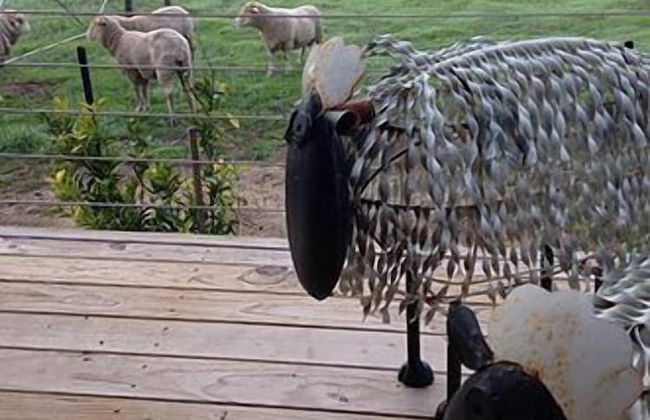 Redwing Shearer's Quarters - Foto 10