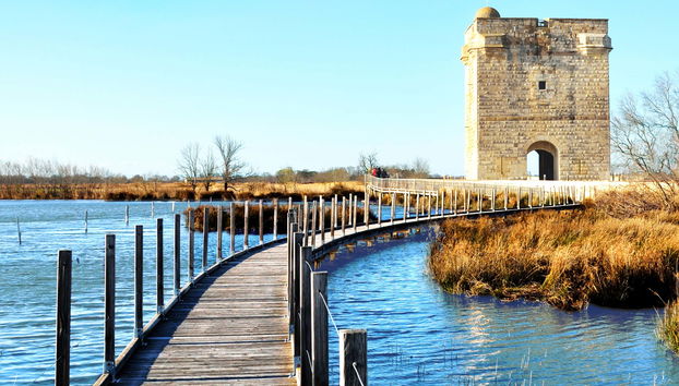Excursión a Aigues-Mortes y Torre Carbonnière