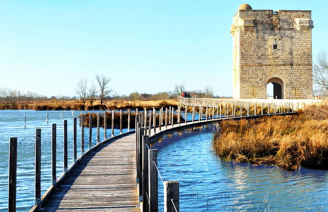 Excursion à Aigues-Mortes et à la Tour Carbonnière - Photo 5