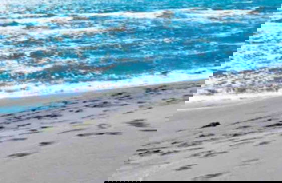 Rajana Bungalow 2 - Foto 12