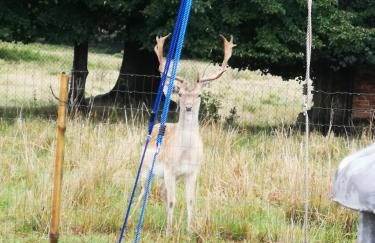 Domki Całoroczne Danielowa Ostoja-Zator,Palczowice - Foto 29