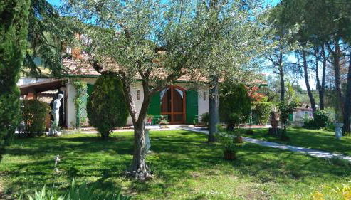 I Pini House - Photo 4, Garden