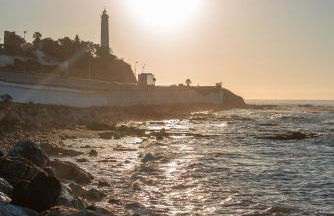 Sunny Garden near Golf - Photo 25