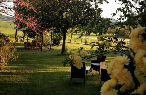 CLAUDIA VACANZA TOSCANA - Appartamento Melograno -10 min da Siena - Foto 12