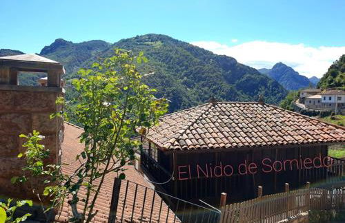 zentralclub apartamento El Nido de Somiedo - Foto 41