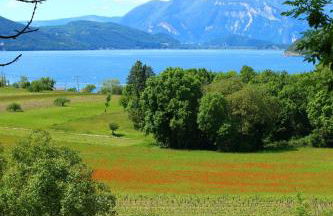 La Brison-T'Inn - Foto 22